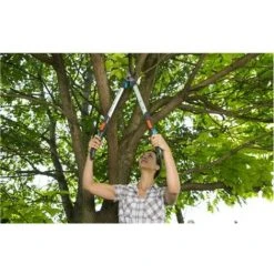 Bester Verkauf ✨ GARDENA Astschere TeleCut 520-670 B ✔️ 8 Bester Verkauf ✨ GARDENA Astschere TeleCut 520-670 B ✔️ -GARDENA SHOP 15042721 3