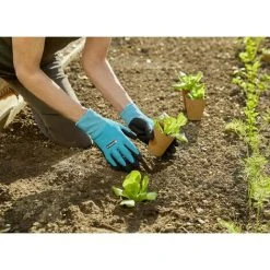 Schlussverkauf ✔️ GARDENA 11512-20 Gartenhandschuh Größe (Handschuhe): 9 1 Paar 🎁 11 Schlussverkauf ✔️ GARDENA 11512-20 Gartenhandschuh Größe (Handschuhe): 9 1 Paar 🎁 -GARDENA SHOP 46009843 5