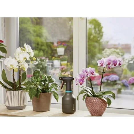 Am billigsten 😀 GARDENA 11110-20 Pumpsprüher 0.75 L 😉 4 Am billigsten 😀 GARDENA 11110-20 Pumpsprüher 0.75 L 😉 – Bild 2