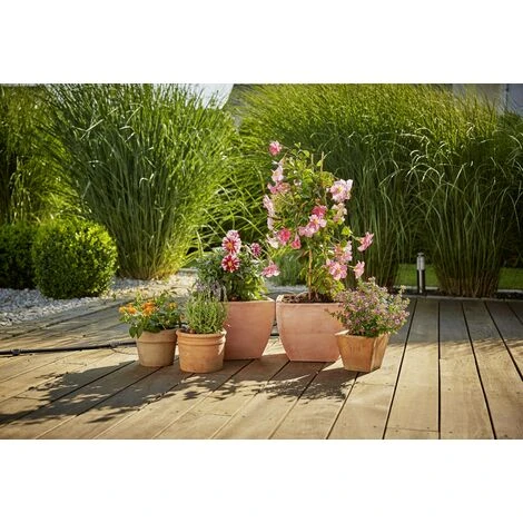 Beste Bewertungen von 💯 GARDENA Micro-Drip System Erweiterungsset Pflanztöpfe 13 Mm (1/2") Ø Schlauchlänge: 5 M 13005-20 🌟 4 Beste Bewertungen von 💯 GARDENA Micro-Drip System Erweiterungsset Pflanztöpfe 13 Mm (1/2") Ø Schlauchlänge: 5 M 13005-20 🌟 – Bild 2