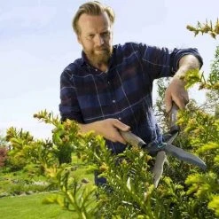 Bester Verkauf 🤩 Gardena Heckenschere Holzgriff Nature Cut Gartenschere Astschere Strauchscheren 🔔 9 Bester Verkauf 🤩 Gardena Heckenschere Holzgriff Nature Cut Gartenschere Astschere Strauchscheren 🔔 -GARDENA SHOP 55770846 3
