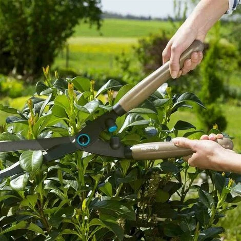 Bester Verkauf 🤩 Gardena Heckenschere Holzgriff Nature Cut Gartenschere Astschere Strauchscheren 🔔 6 Bester Verkauf 🤩 Gardena Heckenschere Holzgriff Nature Cut Gartenschere Astschere Strauchscheren 🔔 – Bild 4