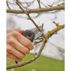 Bester Verkauf ❤️ Gardena Gartenschere ExpertCut ✔️ -GARDENA SHOP 58267250 2